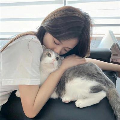 老友记