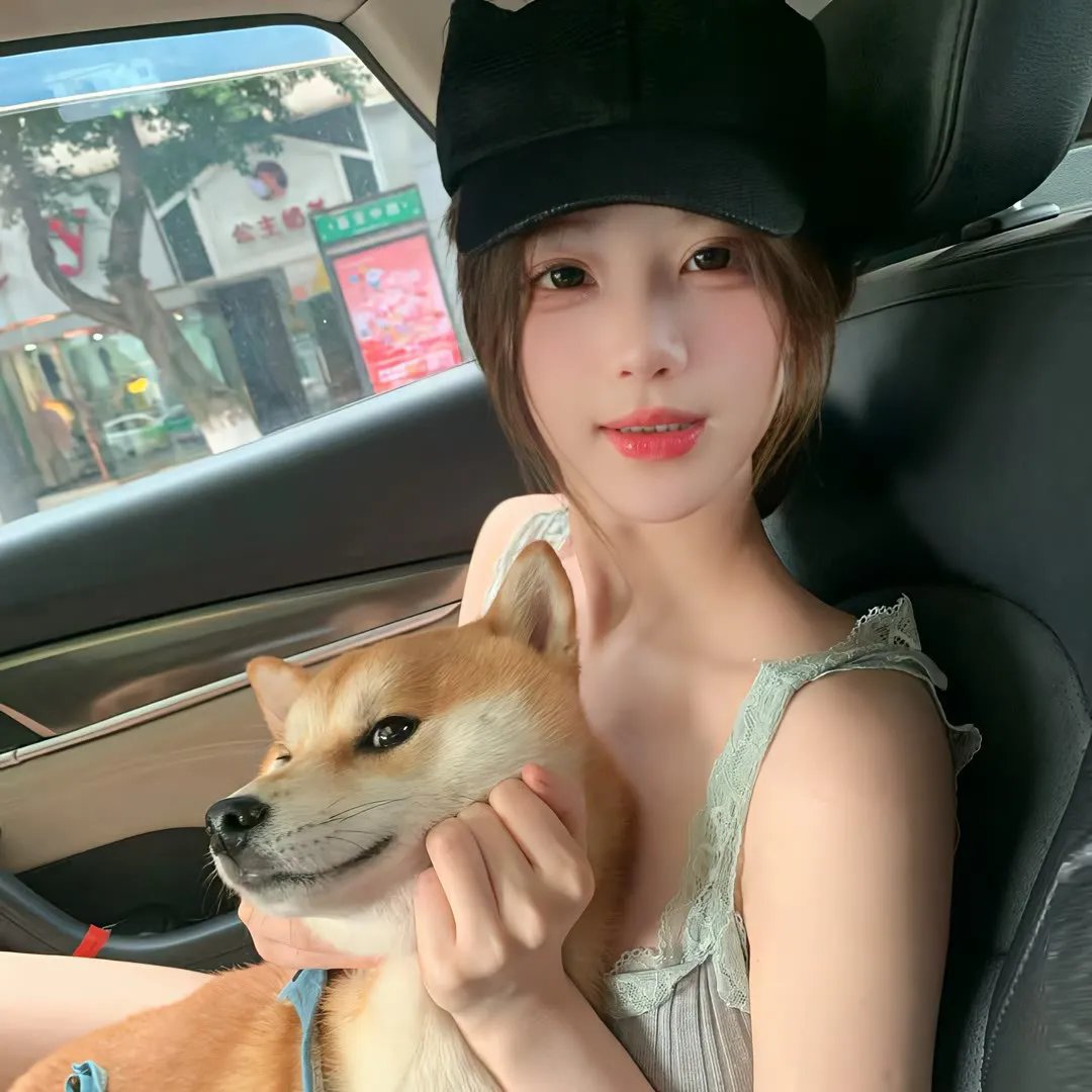 狗纹龙爸爸